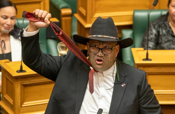 Maori Party co-leader Rawiri Waititi holding his tie aloft to symbolise a noose during his maiden speech in Parliament. Photo / Mark Mitchell