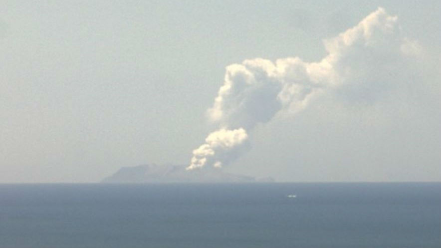 White Island erupted nearly a year ago. (Photo / GeoNet)