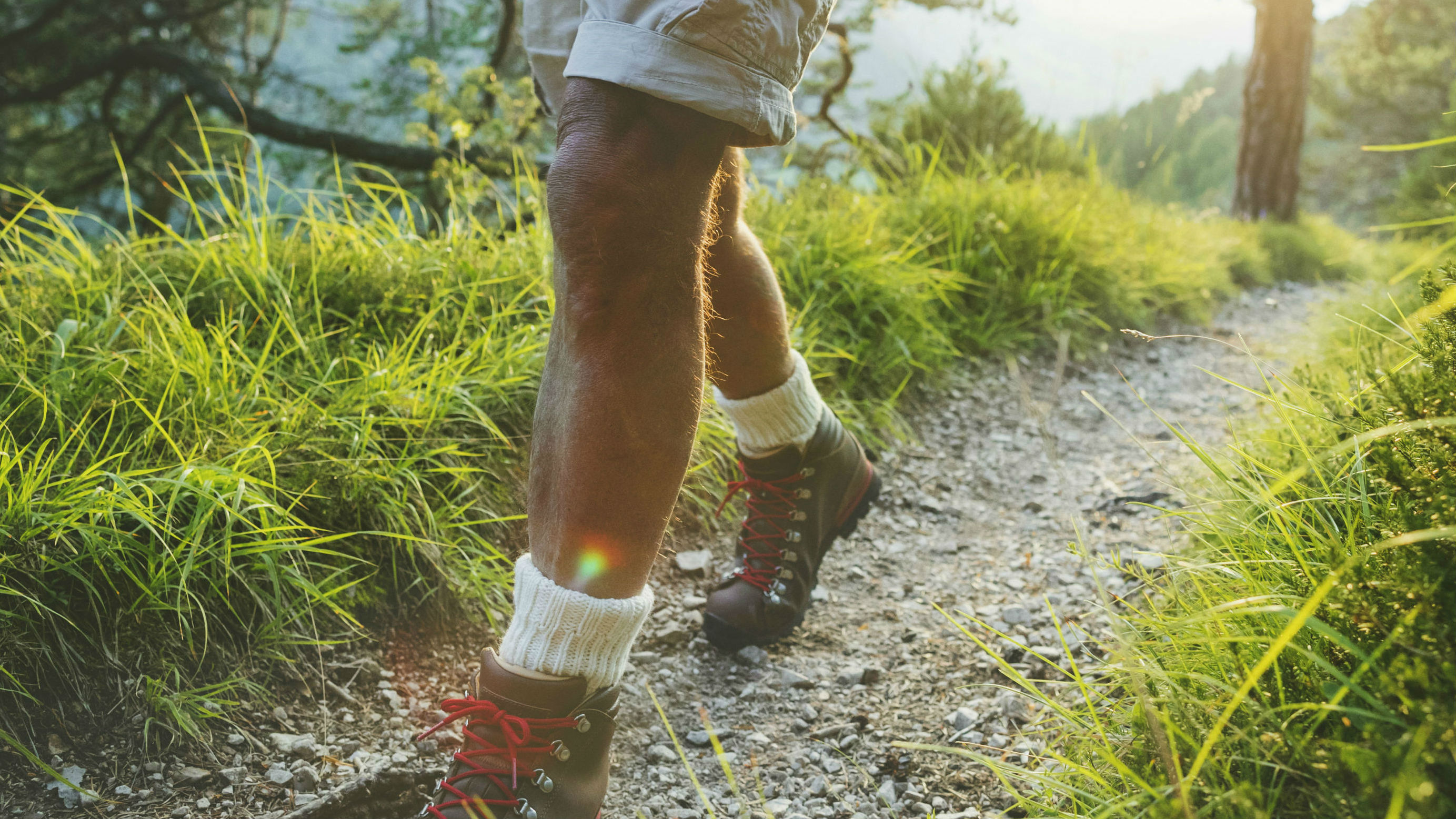 Photo / Getty Images