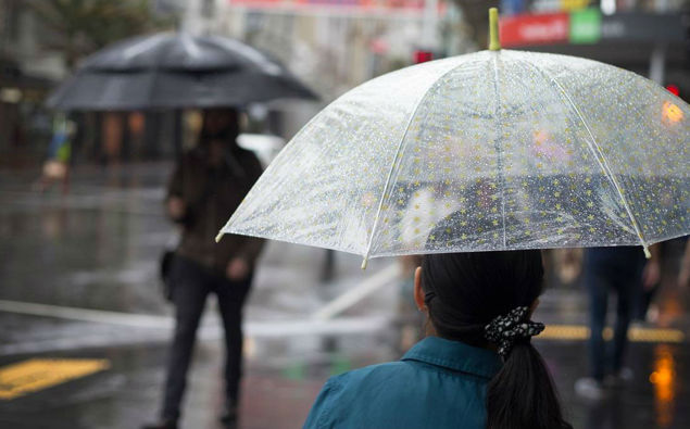 Photo / NZ Herald