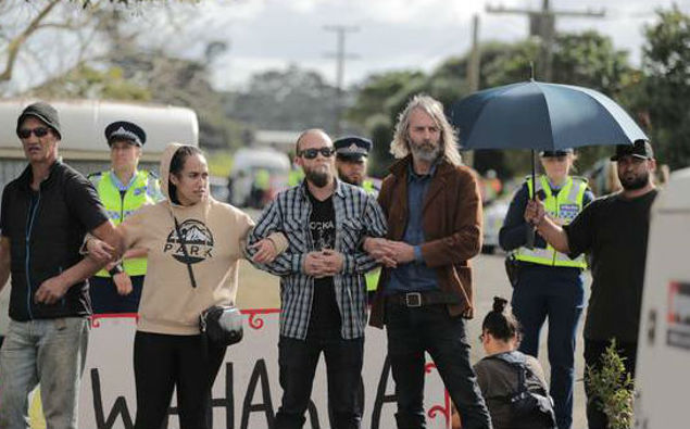 (Photo / NZ Herald)