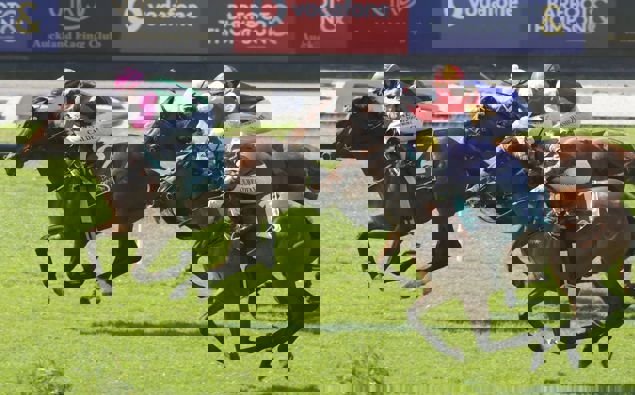 Super Strike winning at Ellerslie. Photo / Trish Dunell