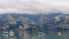 Banks Peninsula, South Island. (Photo / Getty)