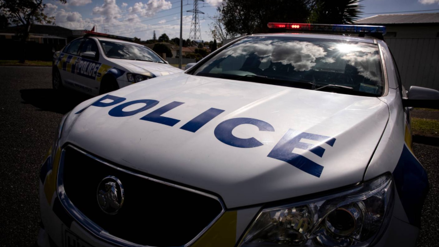 A tree is blocking part of the Dunedin Northern Motorway. (Photo / Herald)