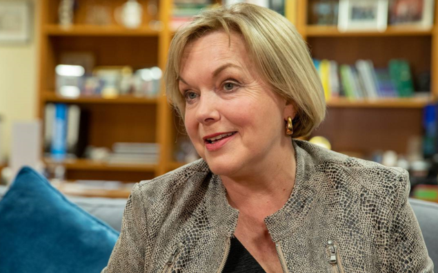 National leader Judith Collins. (Photo / Herald)