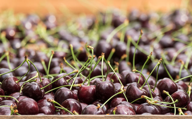 Cherries. (Photo / Getty)