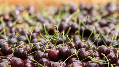 Cherries. (Photo / Getty)