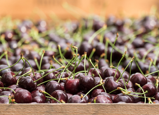 Cherries. (Photo / Getty)
