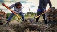 You'll dig this: Tasting twice-buried kumara fresh from a hāngī is a transformative experience. (Photo / File)