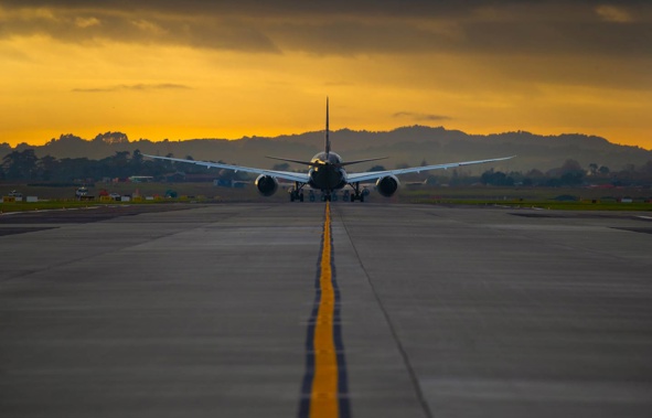 (Photo / Brett Phibbs)