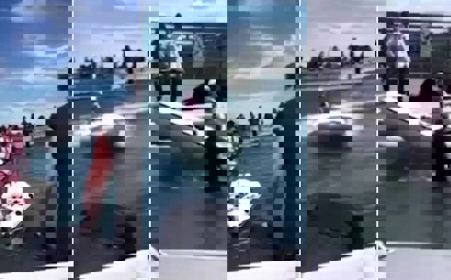 Second person arrested over viral boat rage video at Tairua Wharf