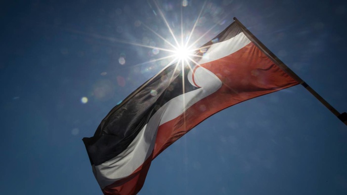 An Auckland councillor is calling on the Government to keep the Tino Rangatiratanga flag flying from the Harbour Bridge permanently. Photo / Jason Oxenham
