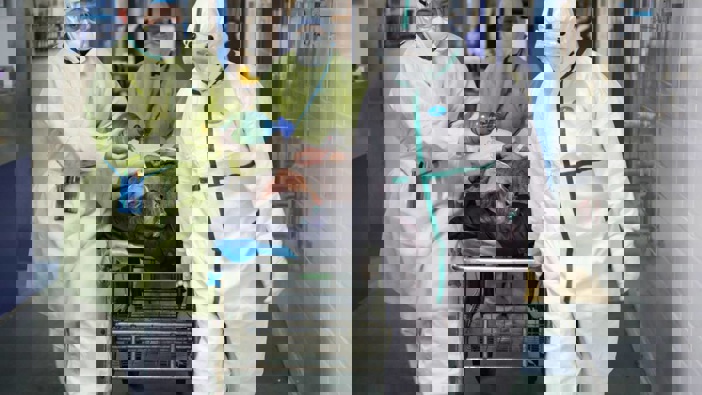 Photo / Getty Images