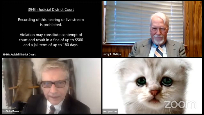 A hearing took a detour when an attorney showed up looking like a kitten. (Photo / AP)