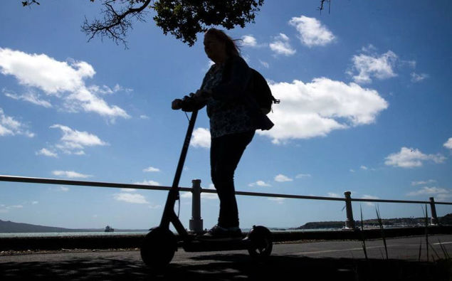 (Photo / NZ Herald)