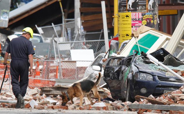A police dog and handler searching for victims of the 2011 earthquake in central Christchurch. Photo / Mark Mitchell