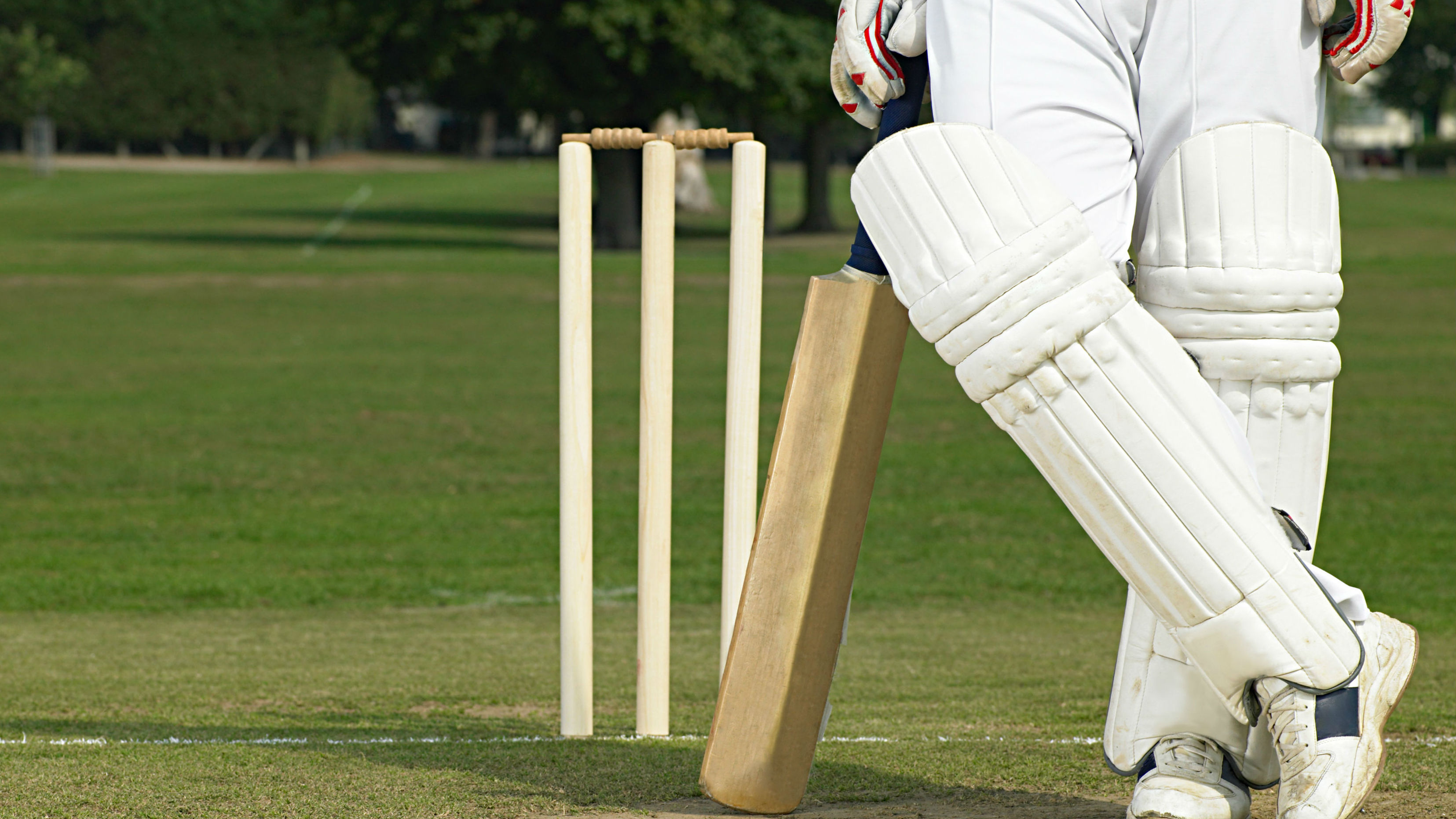 Martin Devlin: T20 is the chewing gum of world cricket