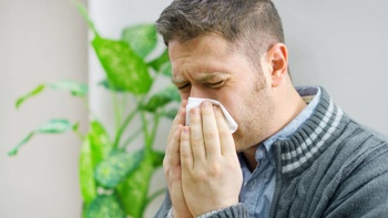 Dr. Bryan Betty: Hay fever vs the Common Cold