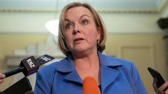 National leader Judith Collins (Photo / NZ Herald)