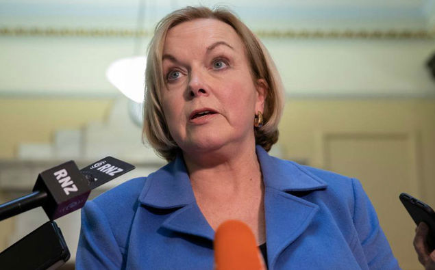 National leader Judith Collins (Photo / NZ Herald)