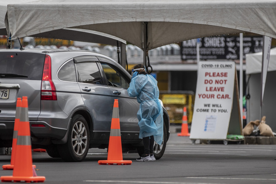 (Photo / NZ Herald)