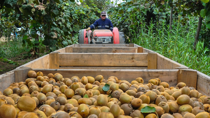 Photo / Getty Images