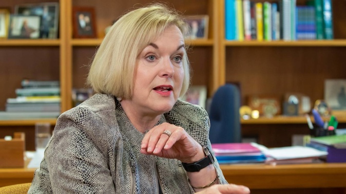 National leader Judith Collins. (Photo / NZ Herald)