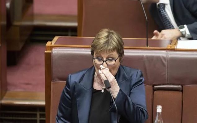 Defence Minister Linda Reynolds. (Photo / NCA NewsWire)