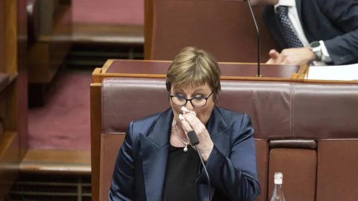 Defence Minister Linda Reynolds. (Photo / NCA NewsWire)
