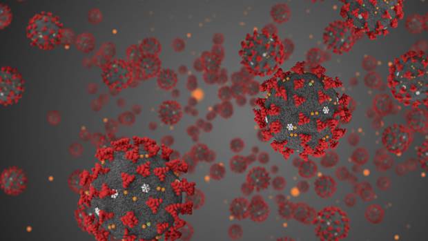 Photo / Getty Images