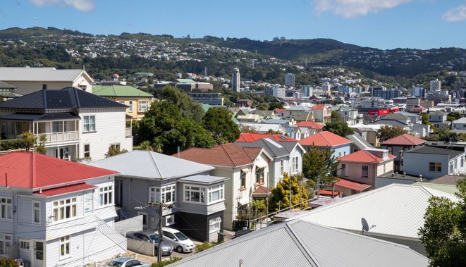Housing in Mt Victoria, looking across Te Aro to Brooklyn, Wellington. Photo / Mark Mitchell