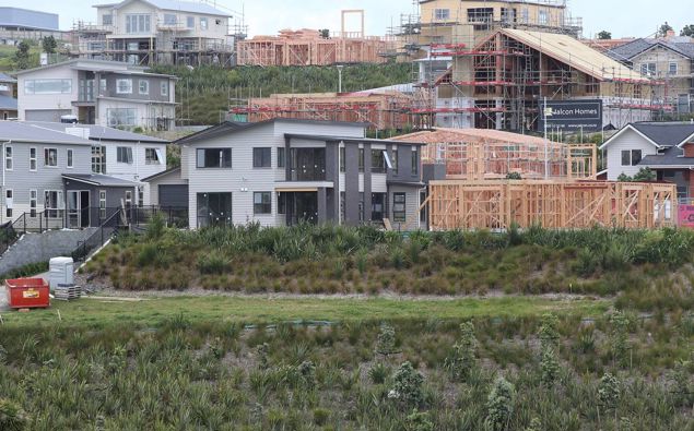 (Photo / NZ Herald)