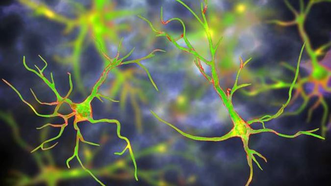 (Photo \ Getty Images) 