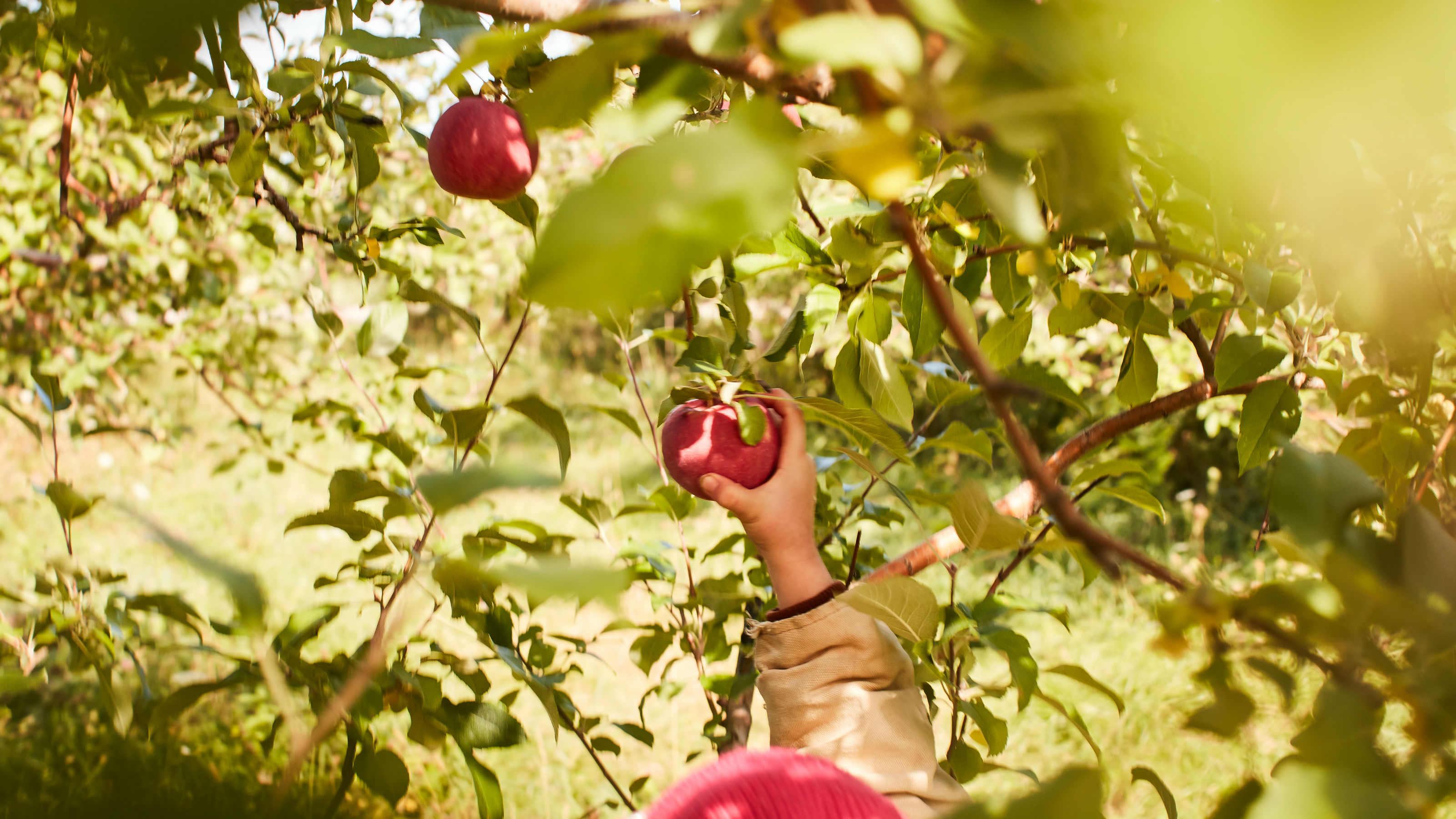 (Photo / Getty Images)