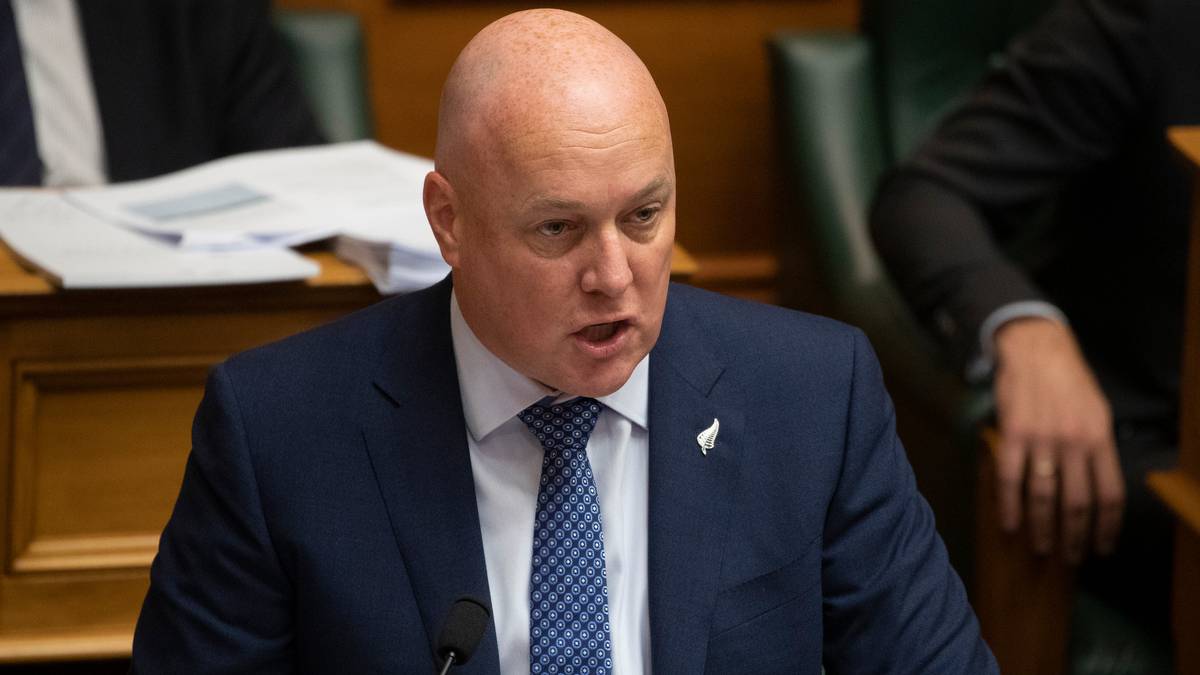 National leader Christopher Luxon. (Photo / NZ Herald)