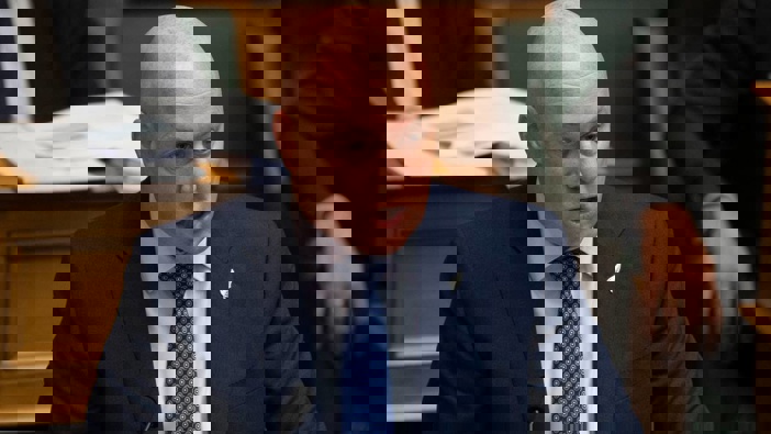 National leader Christopher Luxon. (Photo / NZ Herald)