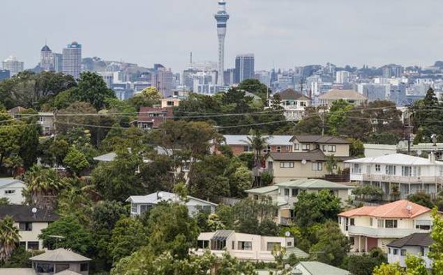 Photo / NZ Herald