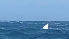 The speed in which the boat was sinking meant boaties couldn't make a distress call. Photo / Supplied