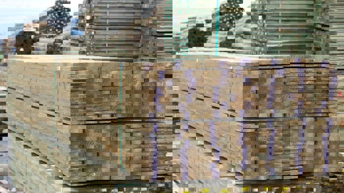 Photo / File