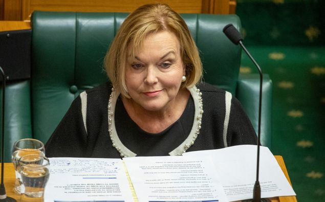 National Party leader Judith Collin. (Photo / NZ Herald)