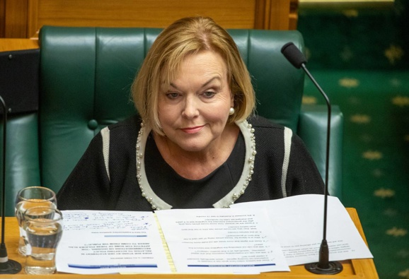 National Party leader Judith Collin. (Photo / NZ Herald)