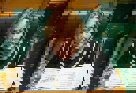 National Party leader Judith Collin. (Photo / NZ Herald)