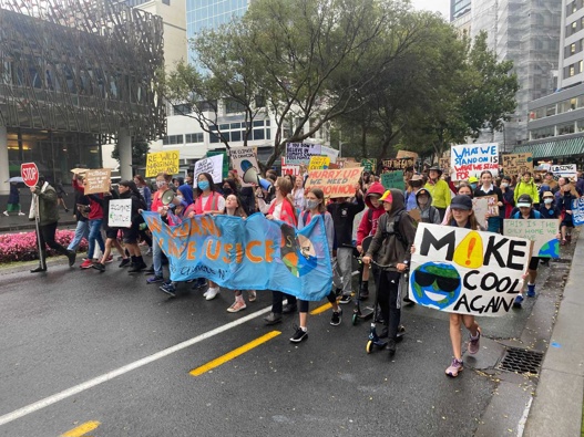 Students march to Parliament calling for urgent action on climate change. Photo / Nick James