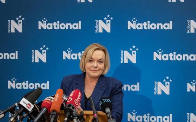National leader Judith Collins. (Photo / NZ Herald)