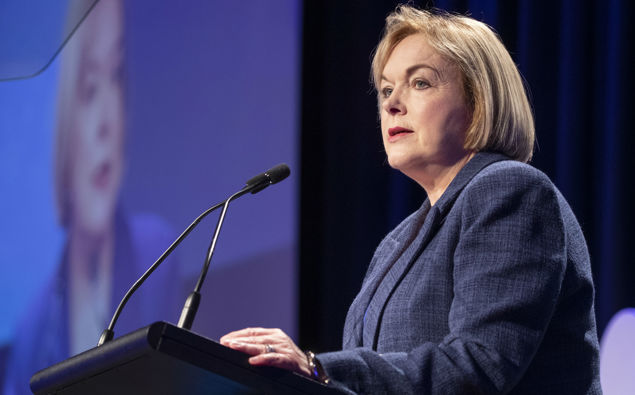 National leader Judith Collins. (Photo / NZ Herald)