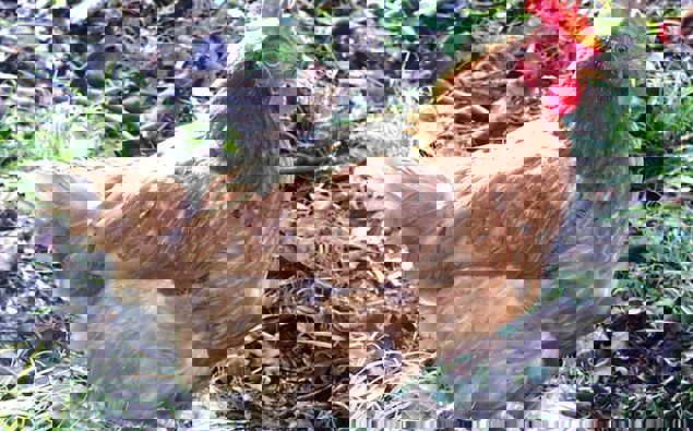 (Photo / File)