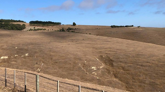 North Canterbury Rural Support Trust chair Gayle Litchfield said farmers are now in their second year of dryness. Photo / Supplied
