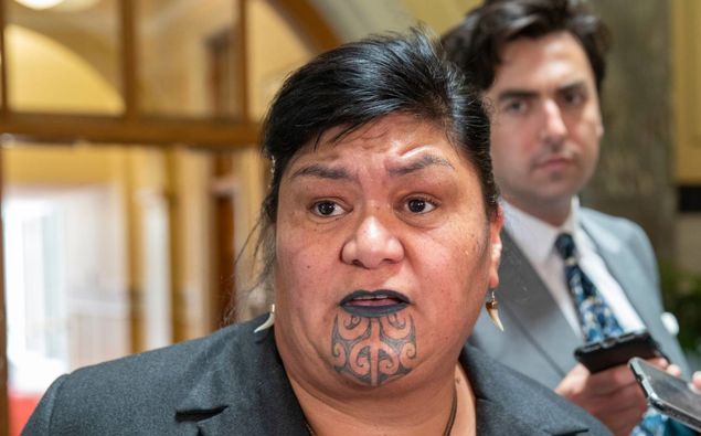 Photo / NZ Herald