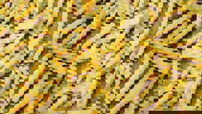 The Ministry of Business Innovation and Employment launched an investigation into the fry dumping - and has just released its draft report. Photo / 123rf