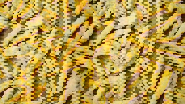 The Ministry of Business Innovation and Employment launched an investigation into the fry dumping - and has just released its draft report. Photo / 123rf